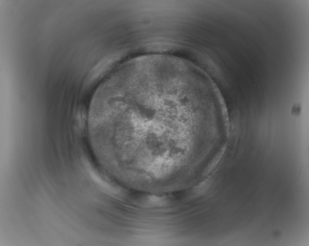 X0000113860166200910151245