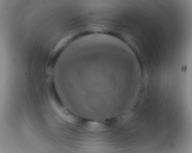 X0000113860167200910151245