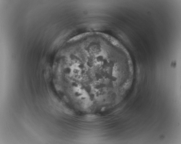 X0000113860169200910151245