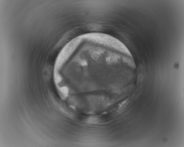 X0000113860171200910151245