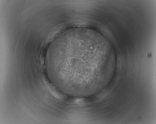 X0000113860173200910151245