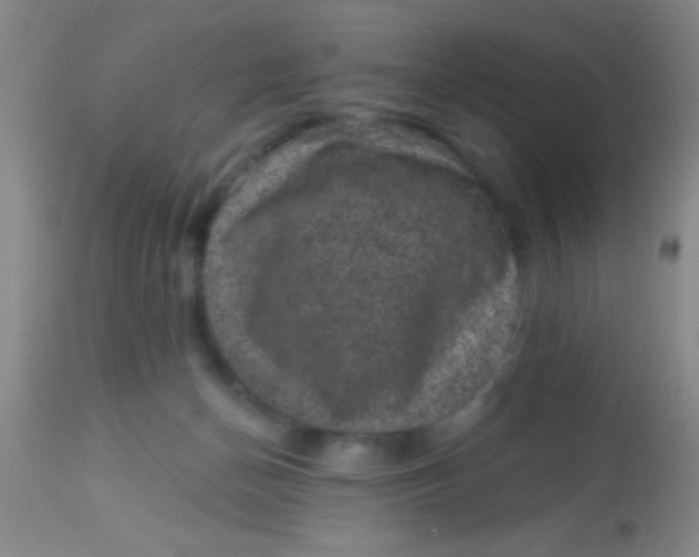 X0000113860174200910151245