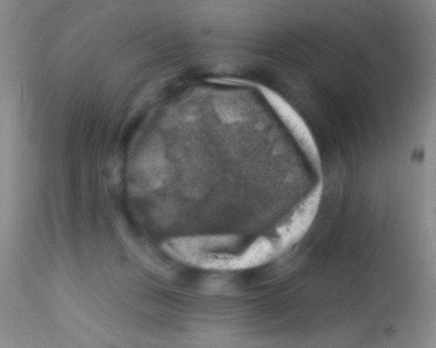 X0000113860175200910151245