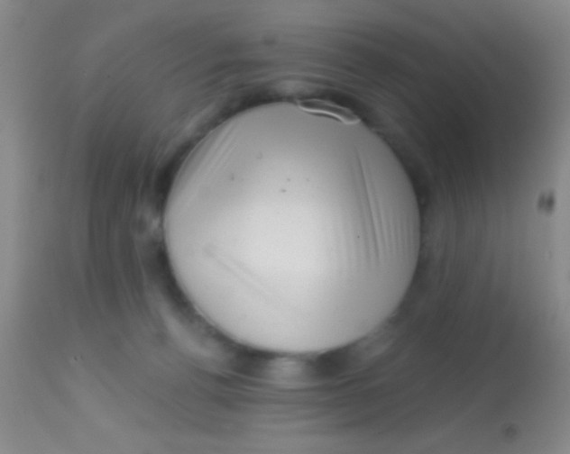 X0000113860176200910151245