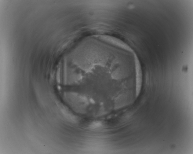 X0000113860177200910151245