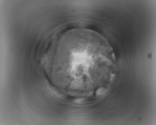 X0000113860178200910151245