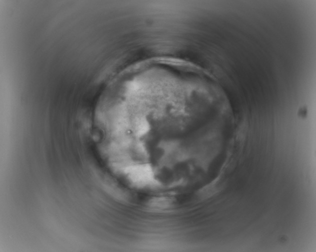 X0000113860179200910151245