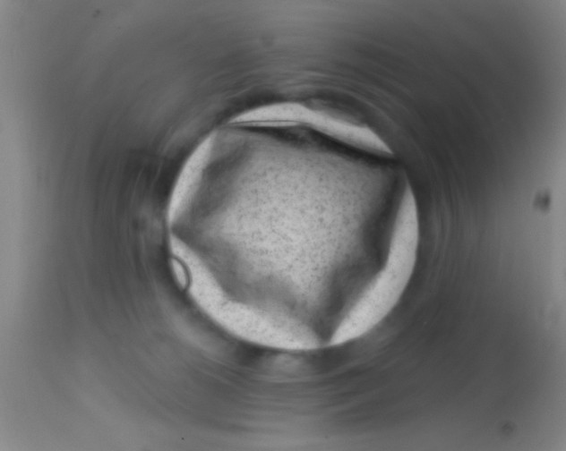 X0000113860180200910151245