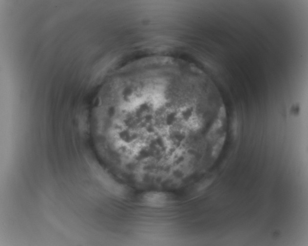 X0000113860181200910151245
