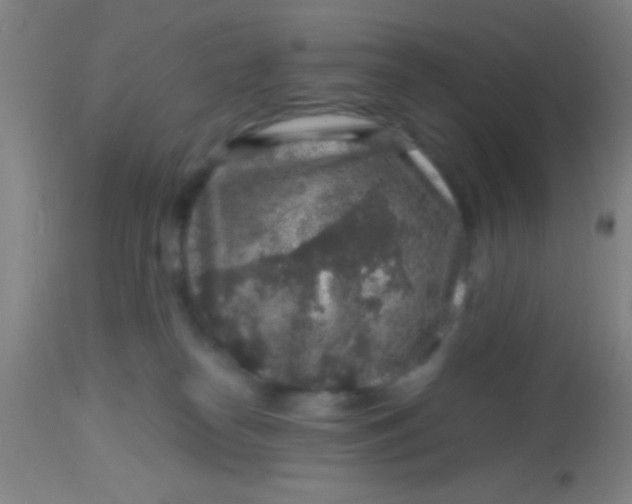 X0000113860182200910151245