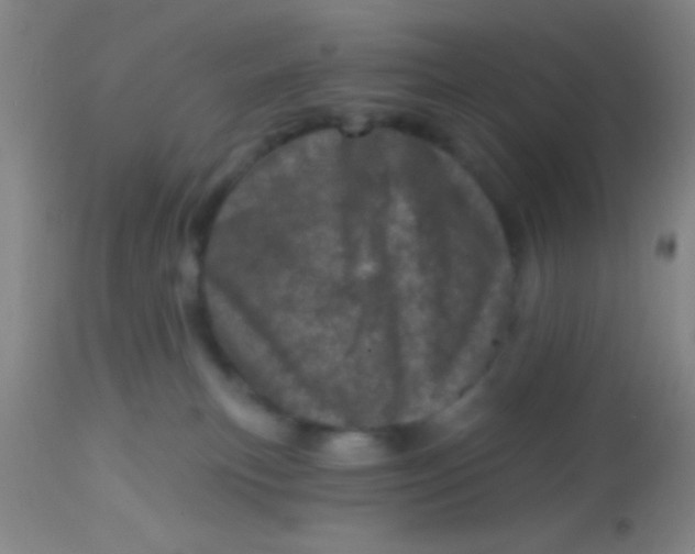 X0000113860183200910151245