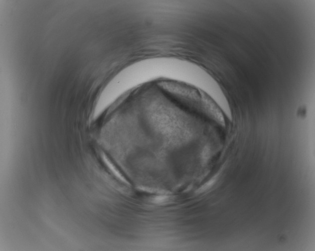 X0000113860184200910151245