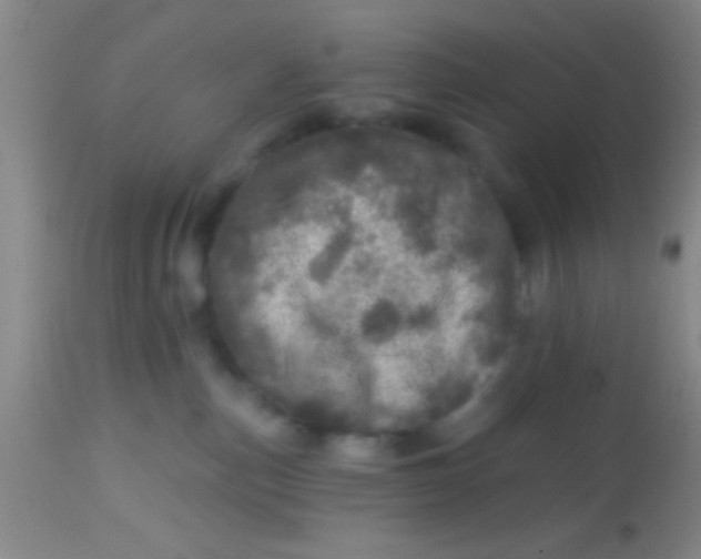 X0000113860187200910151245