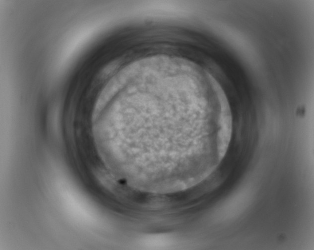 X0000113860189200910151245