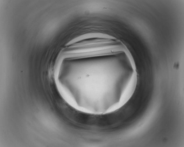 X0000113860190200910151245
