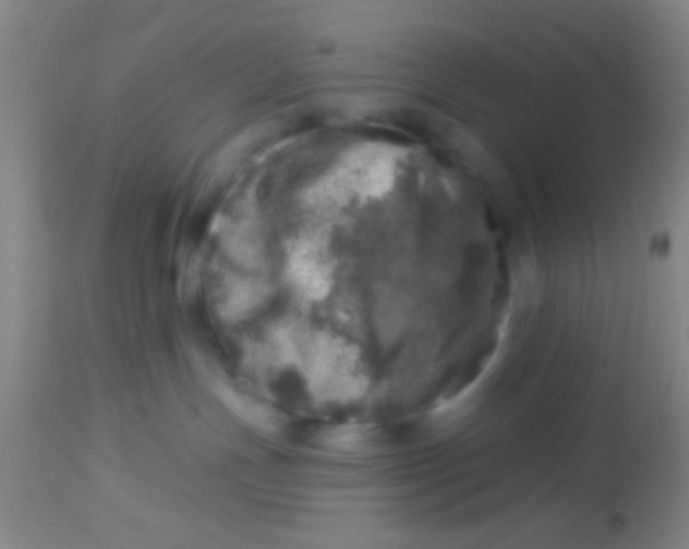 X0000113860191200910151245