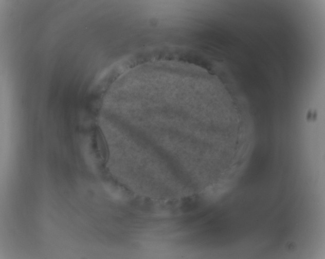 X0000113860192200910151245