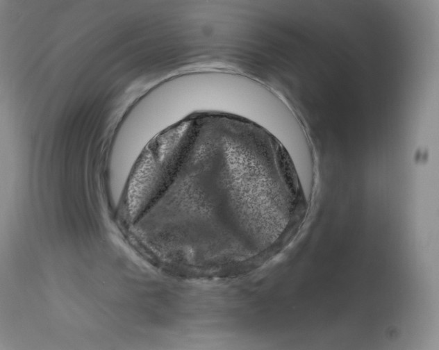 X0000113860193200910151244