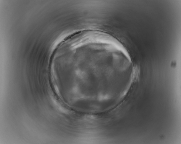 X0000113860195200910151244