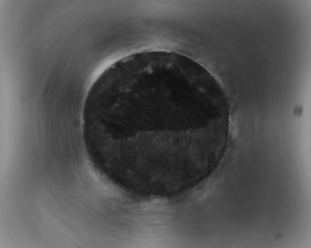 X0000113860196200910151244