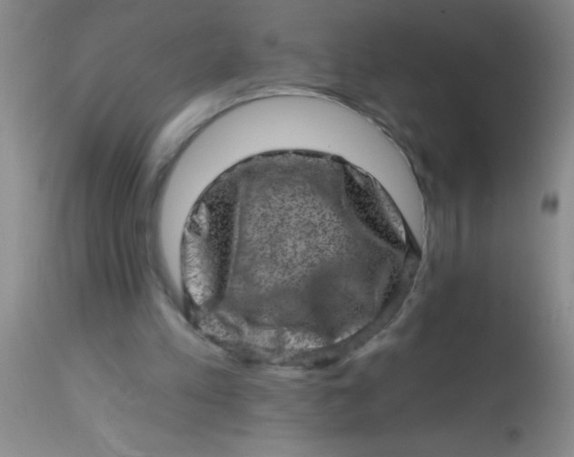 X0000113860197200910151244