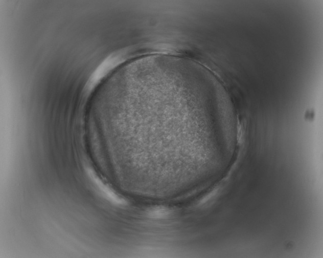 X0000113860198200910151244