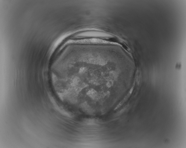 X0000113860200200910151244