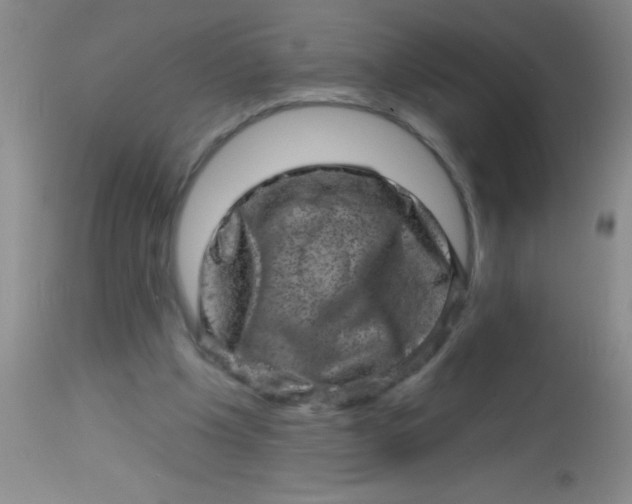 X0000113860201200910151244