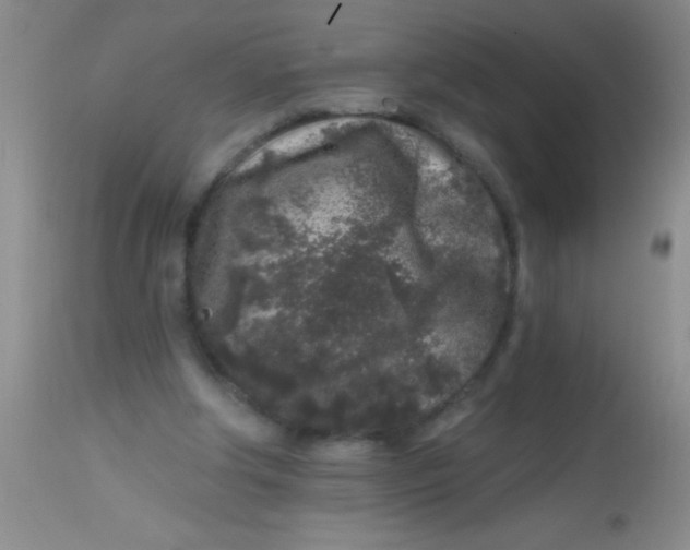 X0000113860202200910151244