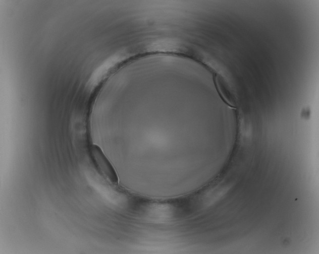 X0000113860203200910151244