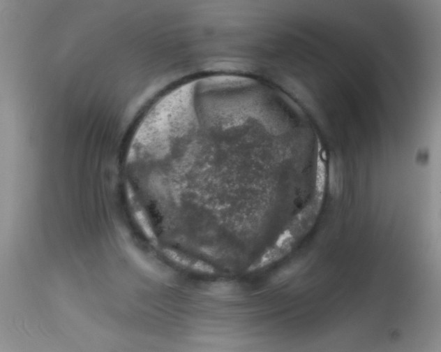 X0000113860204200910151244