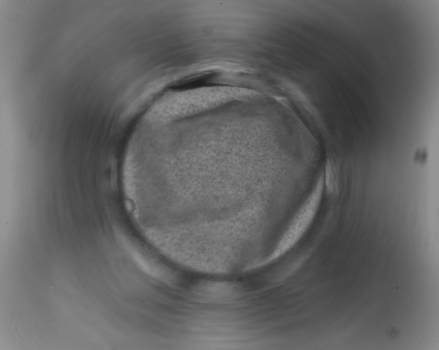 X0000113860205200910151244