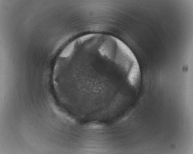 X0000113860208200910151244