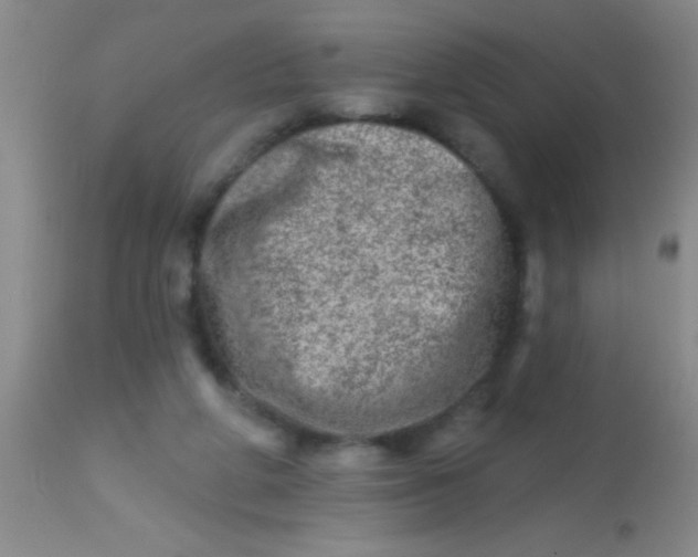 X0000113860210200910151244
