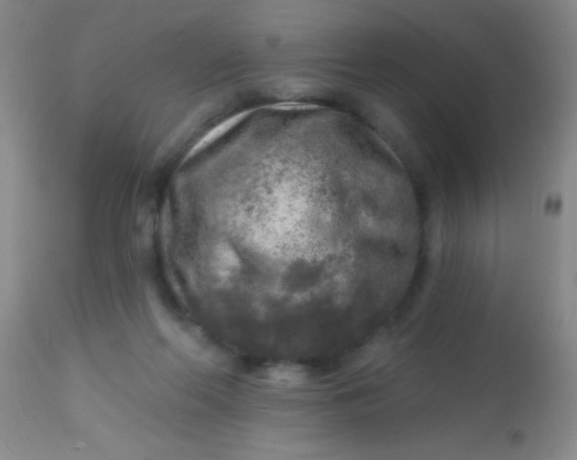 X0000113860214200910151244