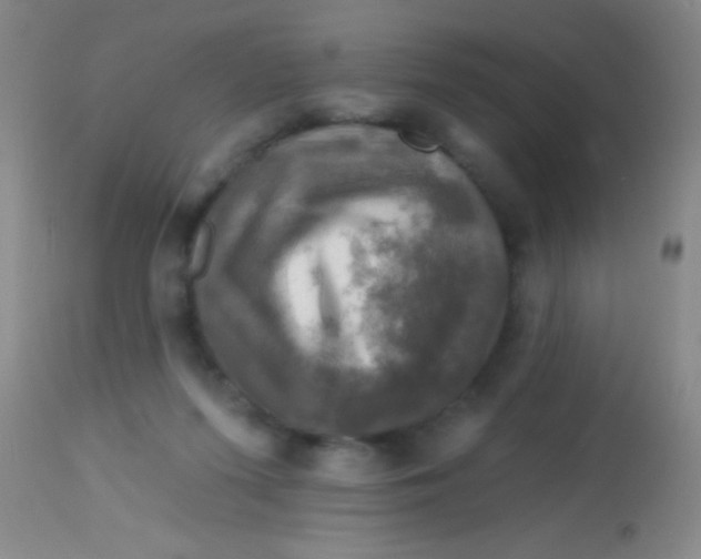X0000113860215200910151244