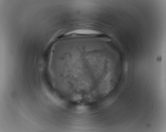 X0000113860216200910151244