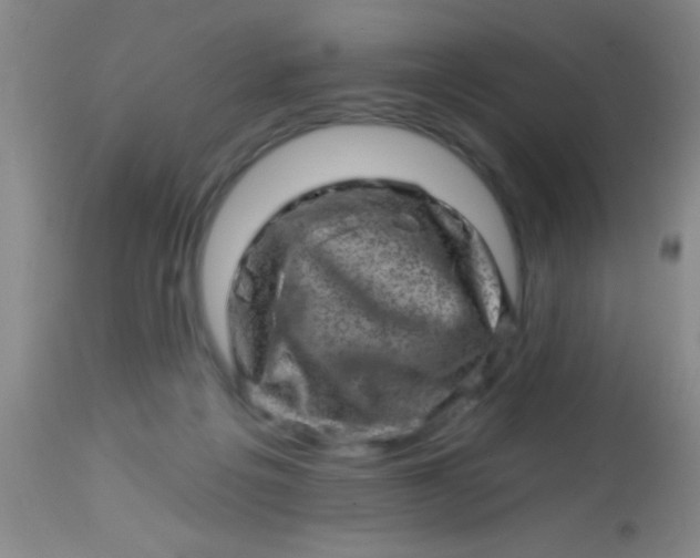 X0000113860217200910151244
