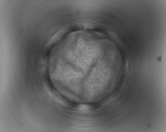 X0000113860218200910151244