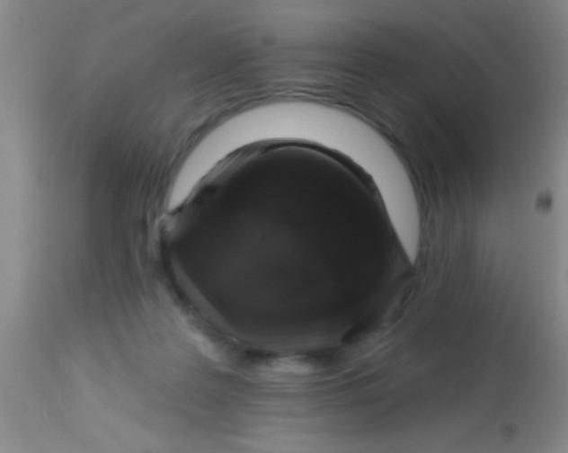 X0000113860219200910151244