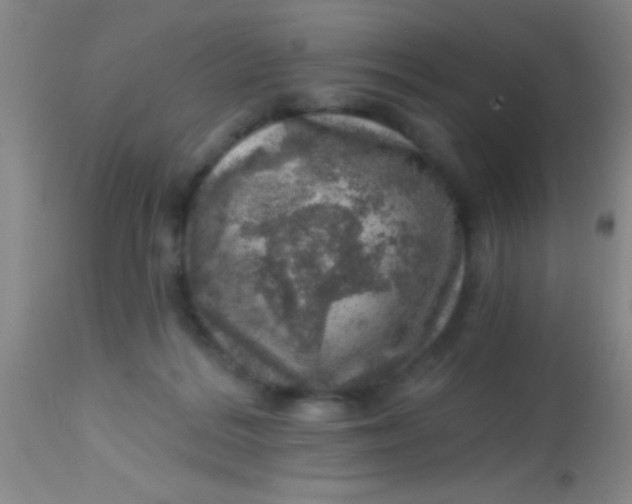 X0000113860220200910151244