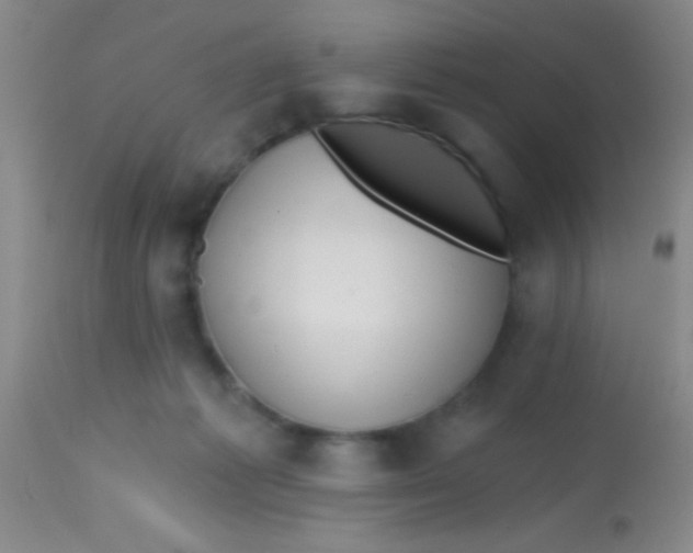 X0000113860221200910151244