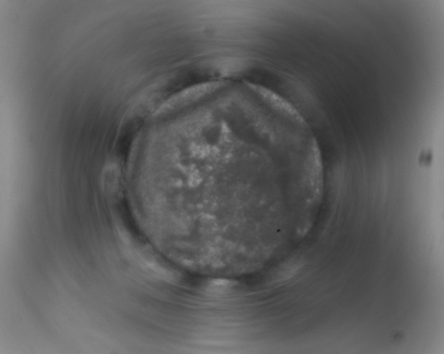 X0000113860222200910151244