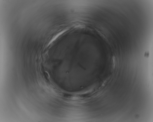 X0000113860223200910151244