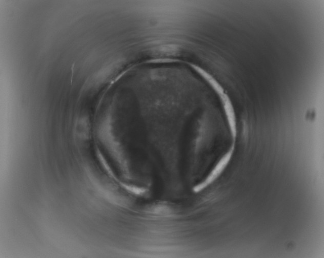 X0000113860224200910151244