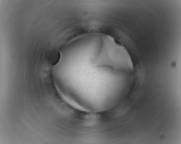 X0000113860225200910151244
