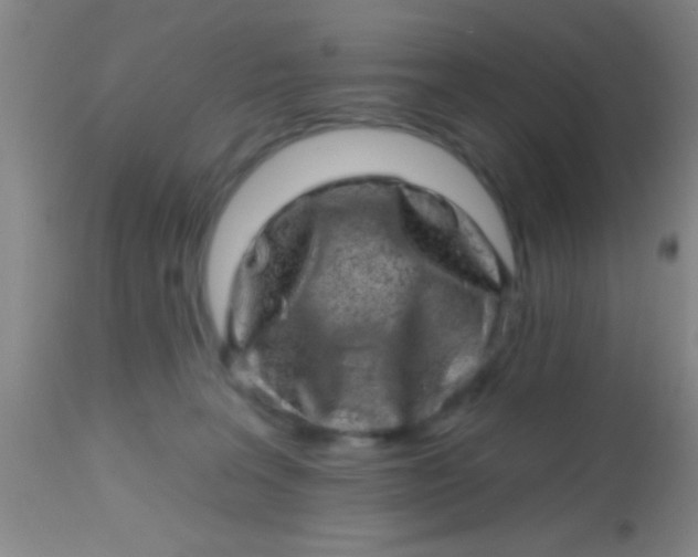 X0000113860227200910151244
