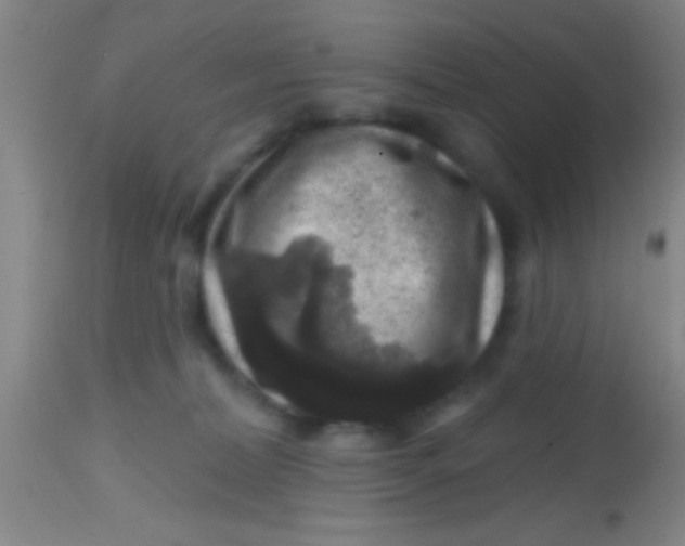 X0000113860228200910151244