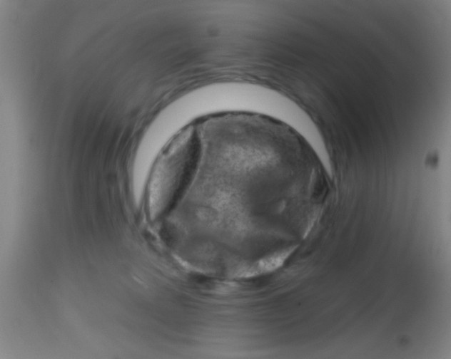 X0000113860229200910151244