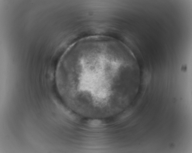 X0000113860230200910151244